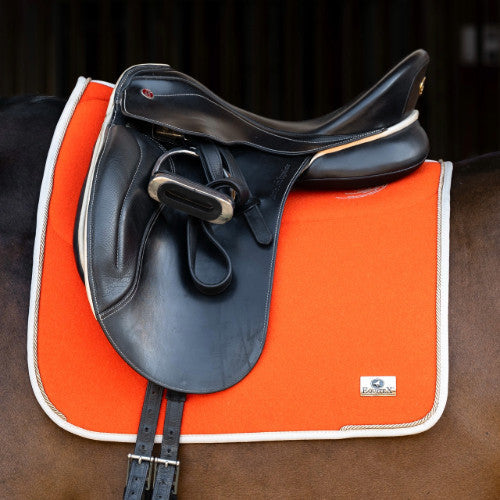 Dressage