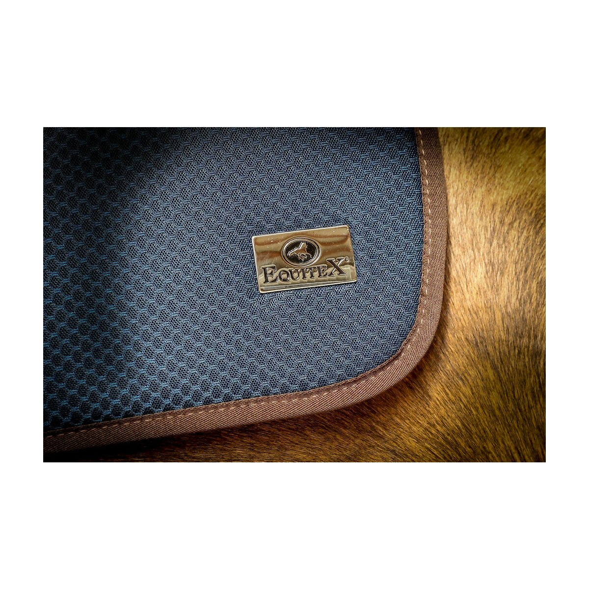 Navy & Brown