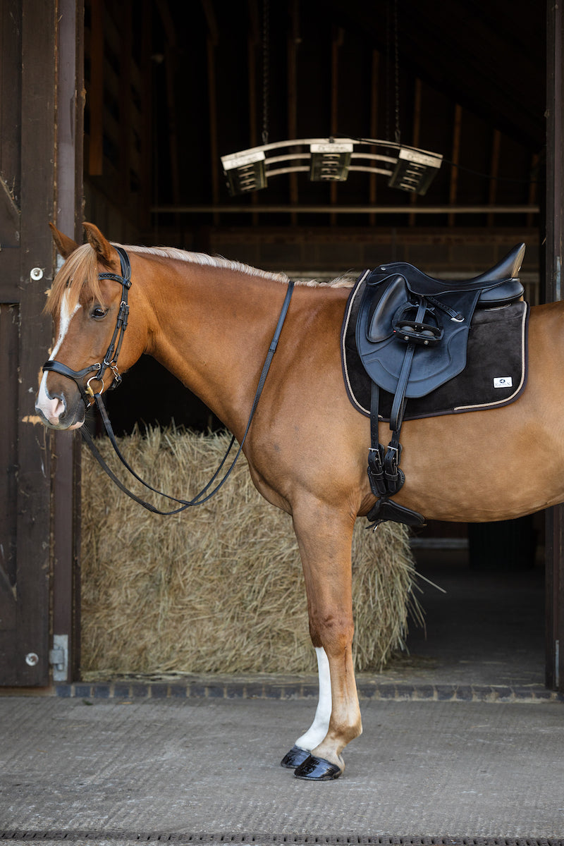 Classic Dressage Velvet