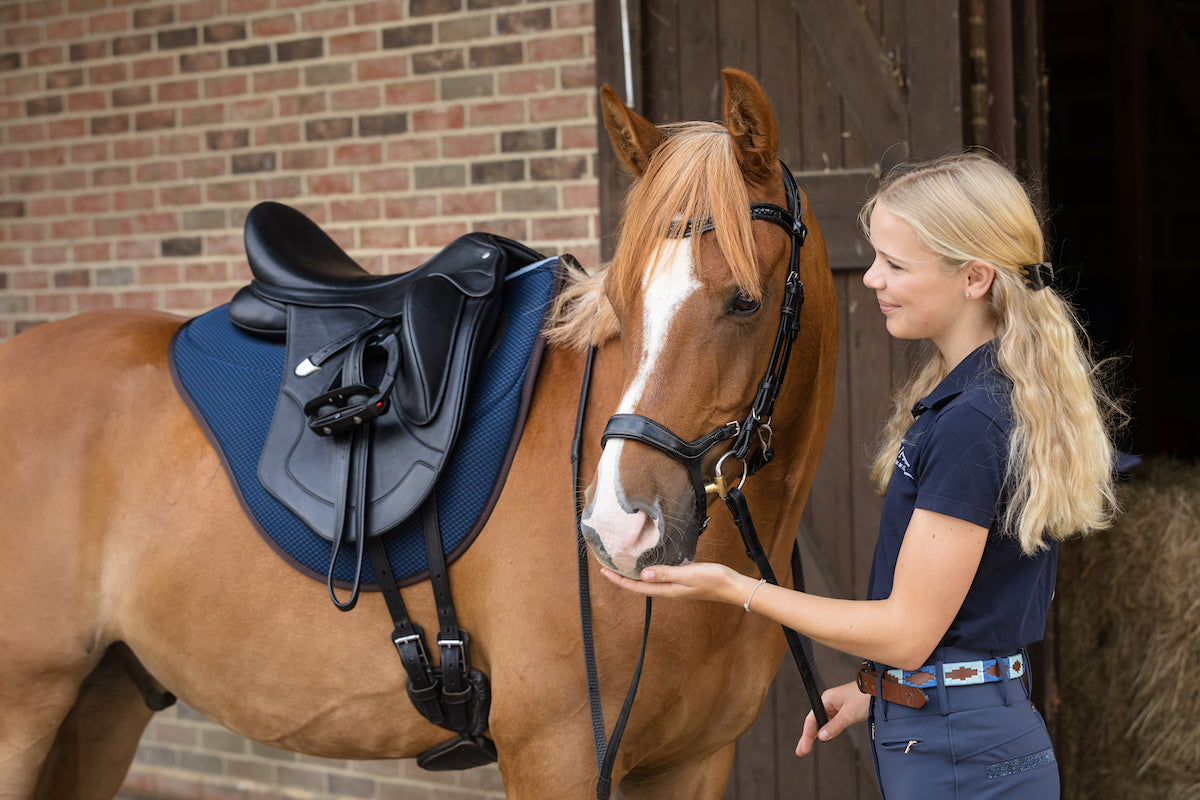 Equitex Endurance Airtech Royal Blue Horse Saddle Pad