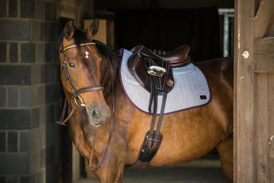 General Purpose Loden