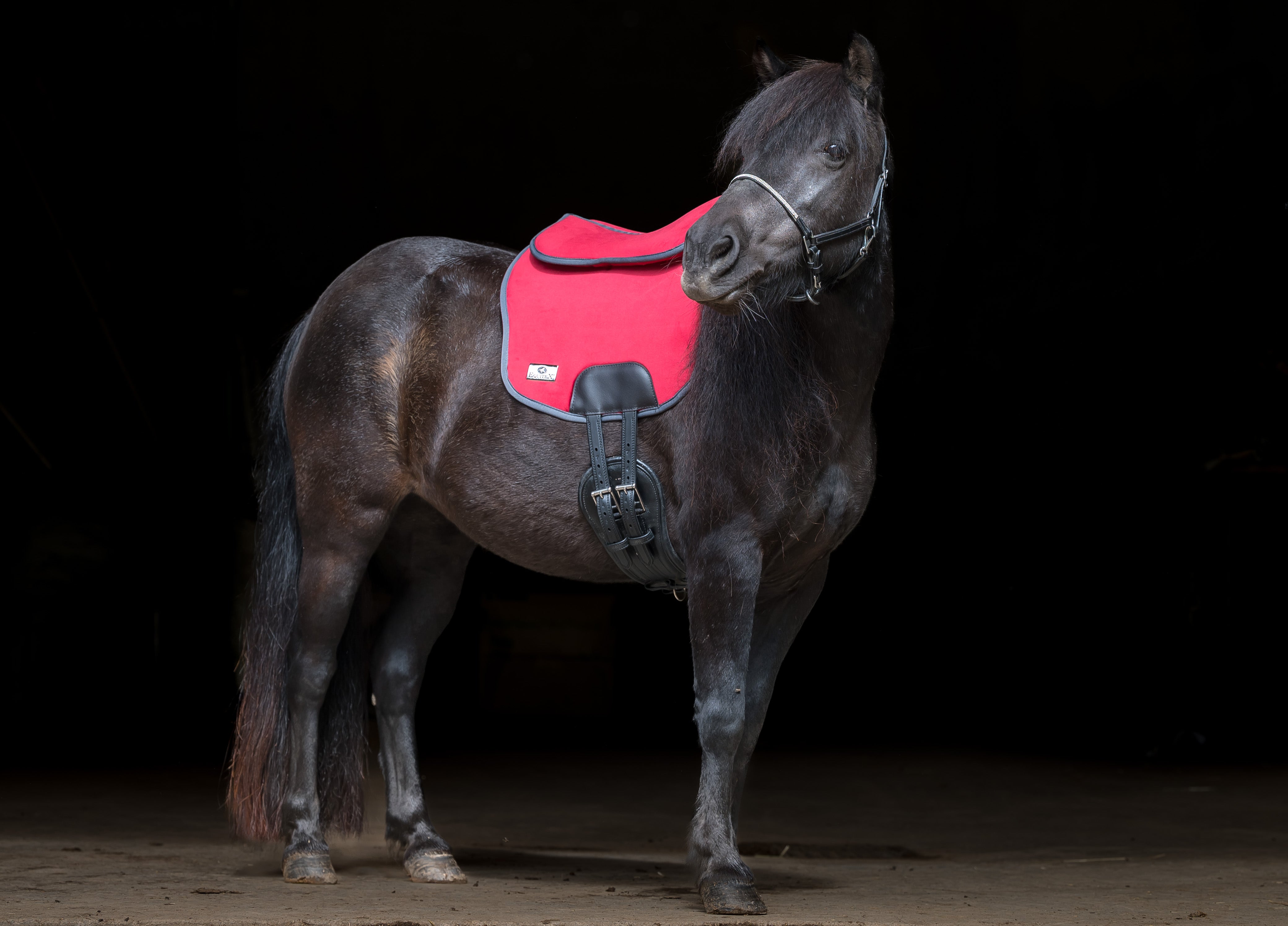 Quad Riding Pads Equitex Riding Pads | Secure, Saddle-Free Comfort