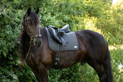 Classic Dressage Loden