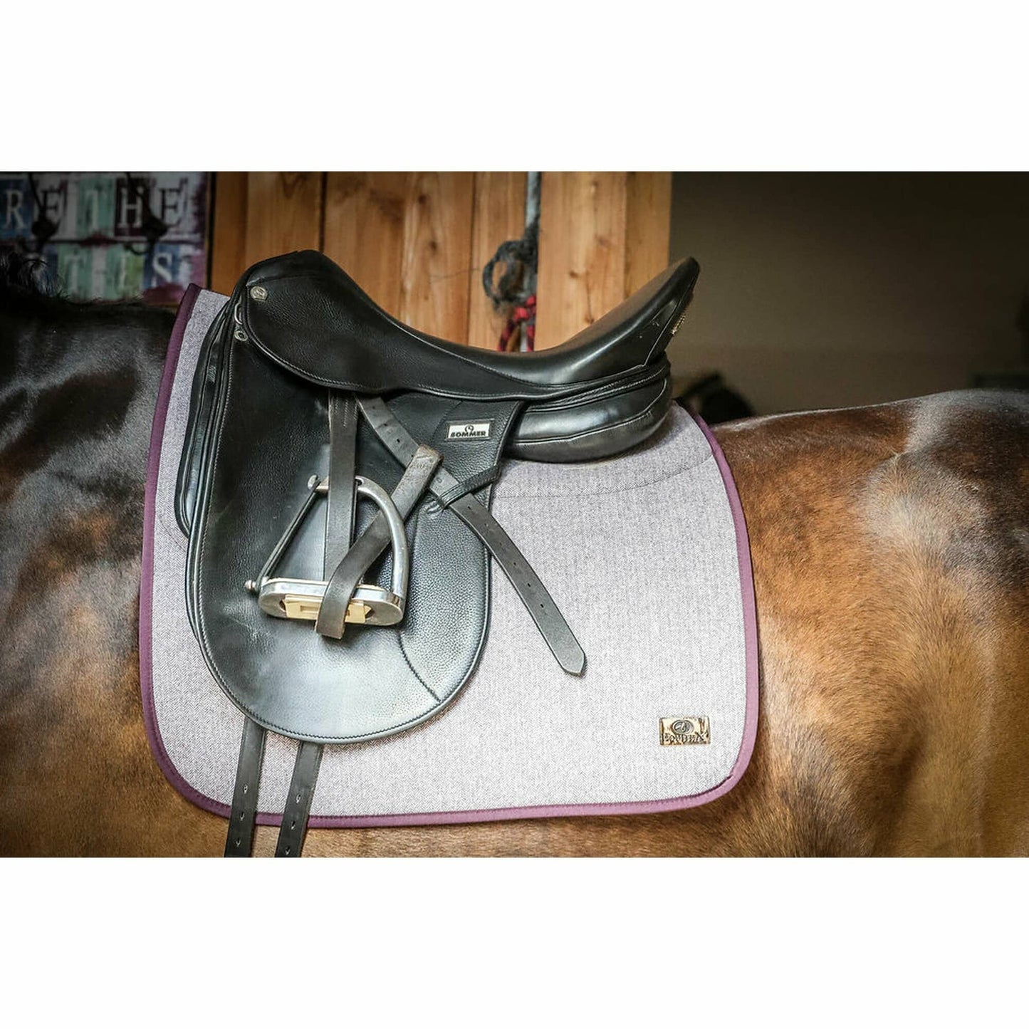 Classic Dressage Loden