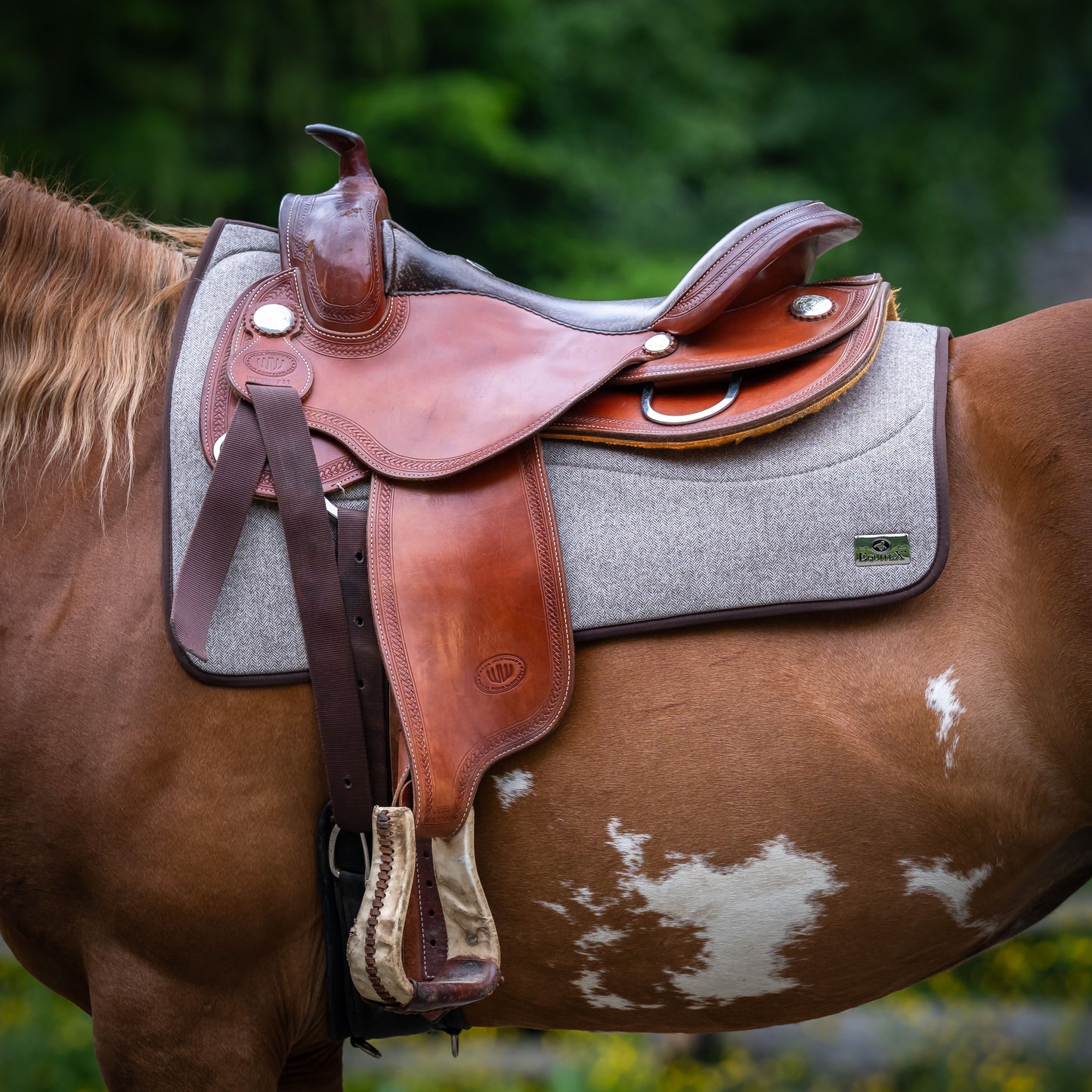Western Loden